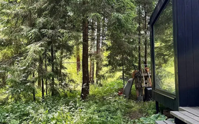 Гостевой дом в лесу