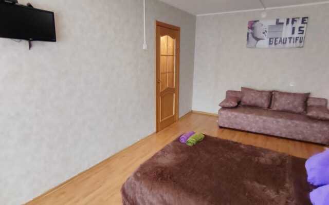 Однокомнатная  квартира на проспекте Победы