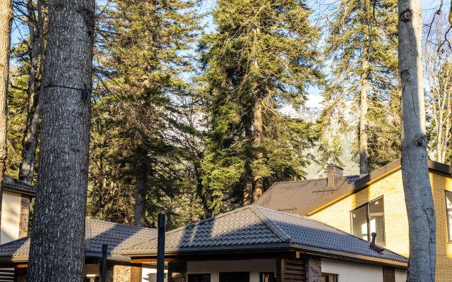 Ski Resort Hotel