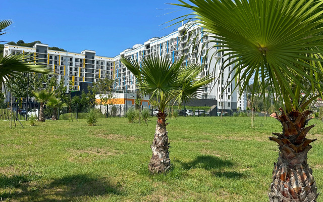 Uyutnye S Vidom Na Samshitovy Les Apartment