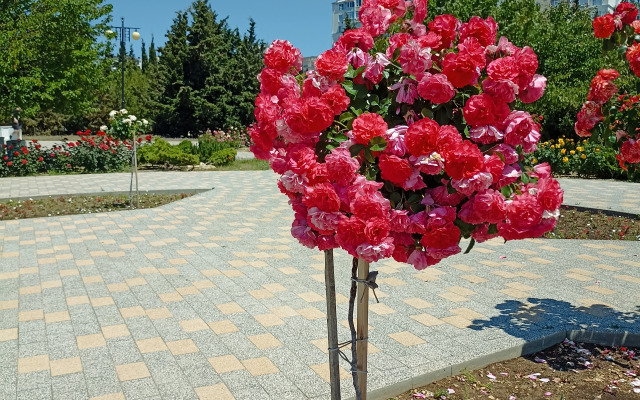 Квартира у Парка Победы