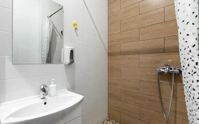 Апартаменты Букинист 233/1