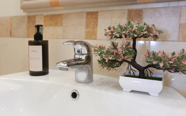 Квартира Роскошь с видом на Неву