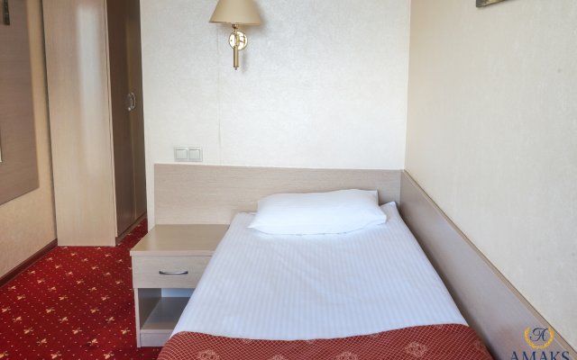 Hotel Amaks city