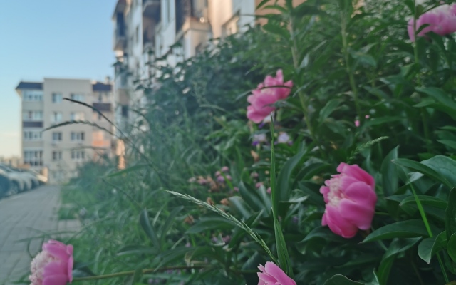 Pandora Planet Apartments