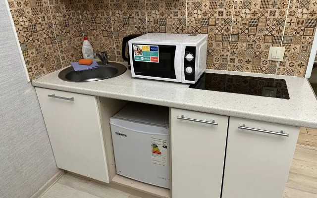 Studiya U Kurskogo Vokzala Flat