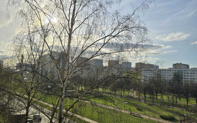 Uyutnaya Odnokomnatnaya Bliz Oktyabryskoy Naberezhnoy Flat