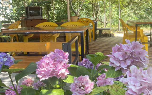 Leto Vsem Guest House