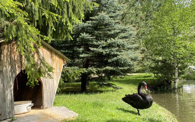 Гостевой Дом Чегет