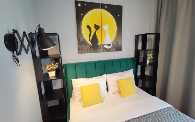 Studio Pioneer Flat