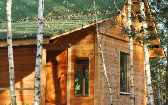 Апартаменты Уютный дом на природе в лесу