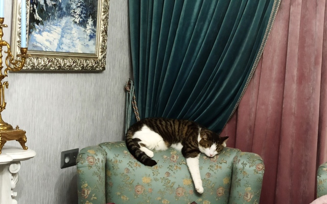 Апартаменты Видовая квартира