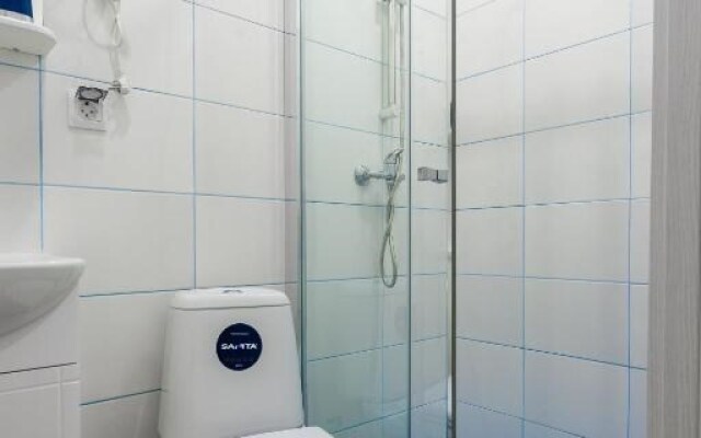 Апартаменты Гости Любят на Владимирской