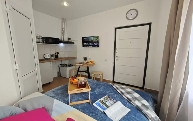 Квартира Студия по ул. Тухачевского 49/3-32