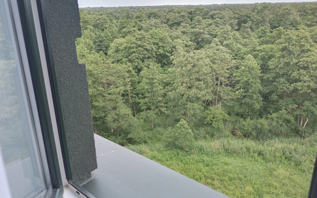 Dvuhkomnatnaya V ZHK Sozvezdie Flat
