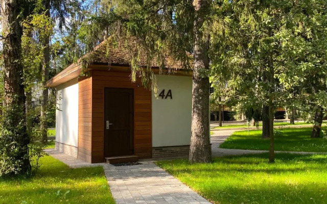 Отель Ruza Forest