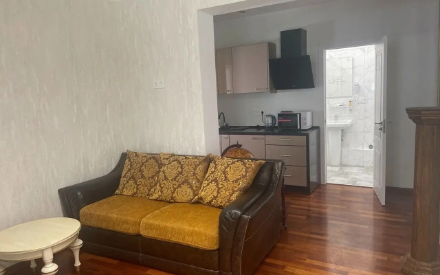 2-Kh Komnatnaya v Tsentre Goroda Flat