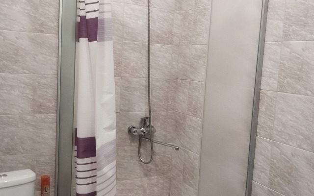 V Tsentre Goroda Flat