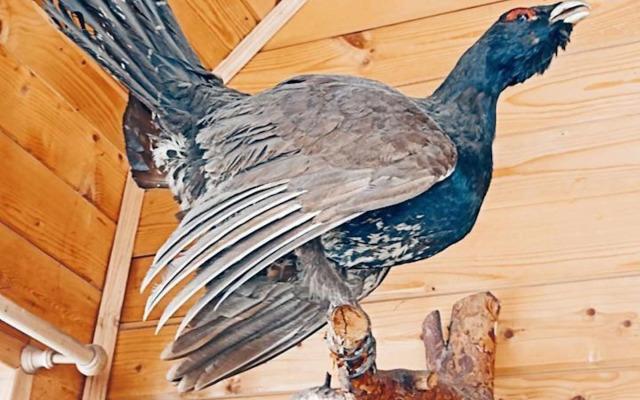 Частный дом Охотничий домик