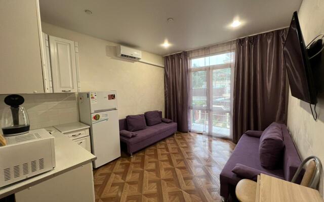 Uyutnaya Studiya Na Veseloy Ot Homehotelsochi 9 Apartments