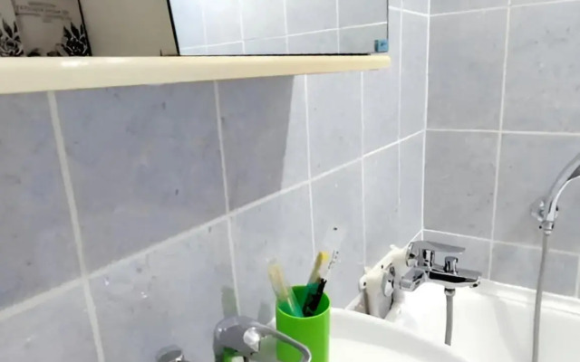 Uyutnaya Svetlaya v Tsentre Flat