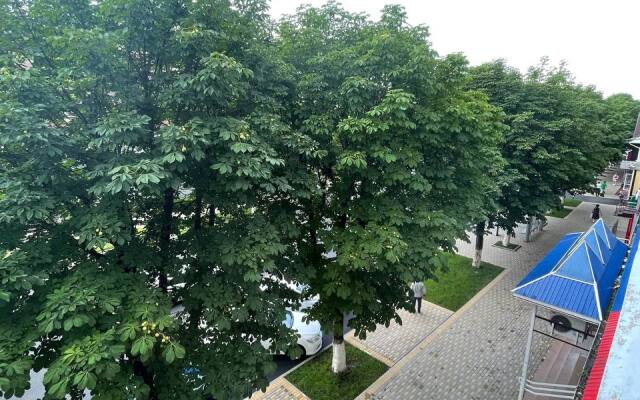 Tsentr Apartments