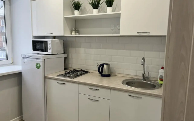 U Tsentralnogo Parka Apartaments