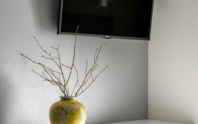 Greengrey Studio Flat