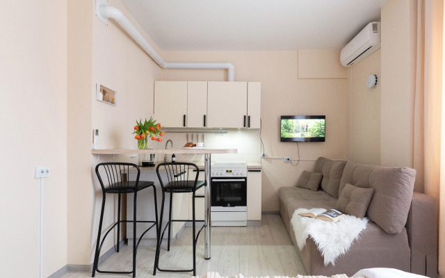 Studiya Ryadom s Centrom, s Kondicionerom Flat