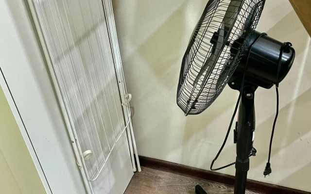 Апартаменты Roomstay Большой Делюкс