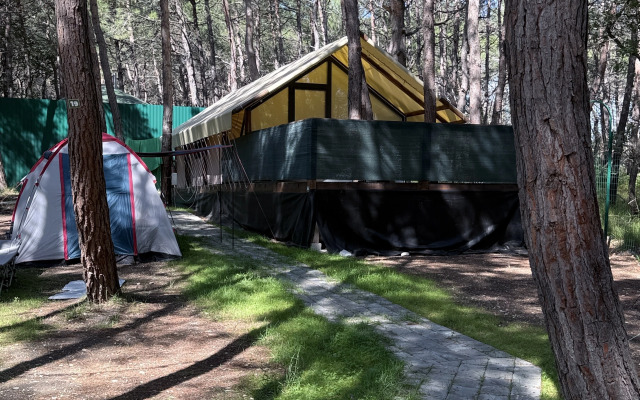 Кемпинг Под Соснами