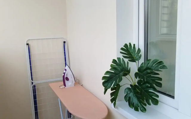 V Tsentre Goroda Flat