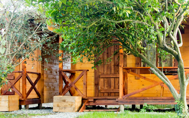 Teremki Recreation Camp