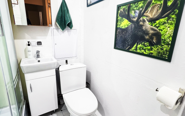 Апартаменты Stanislavskogo Lounge