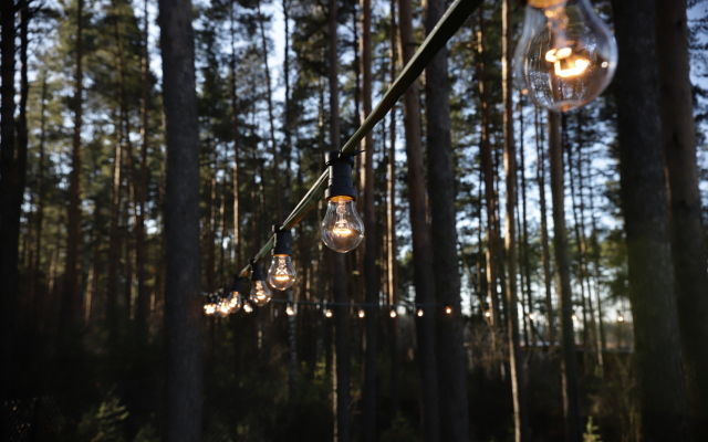 Гостевой дом Дом у леса