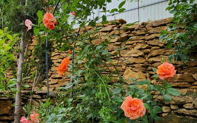 Гостевой дом Дом Архитектора