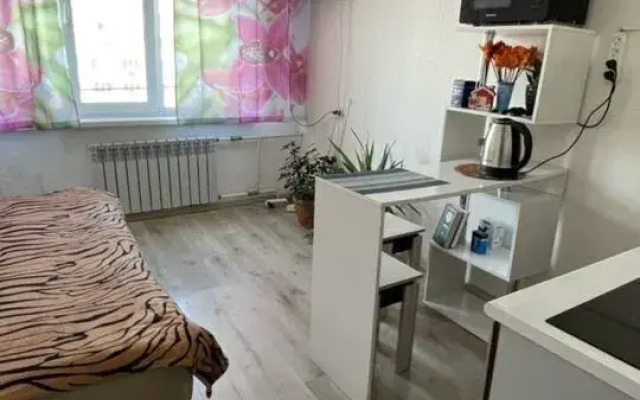 Апартаменты Студия на Надибаидзе 30