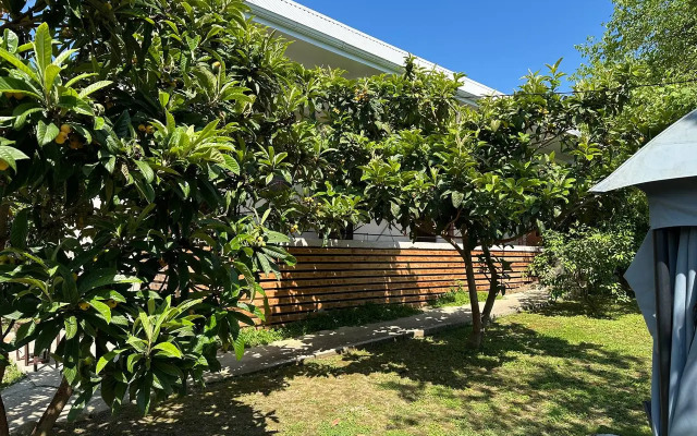 Novy Afon Guest house