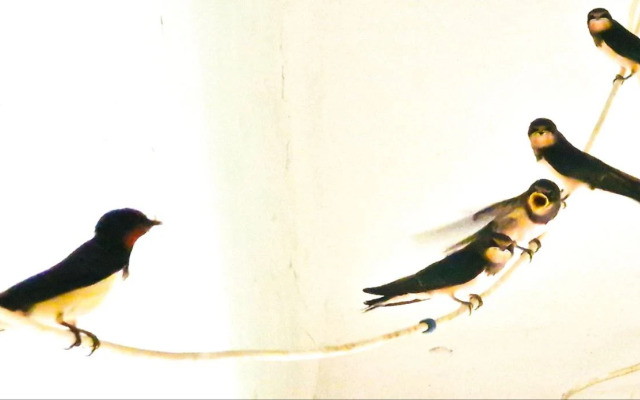 Квартира Двухкомнатная у Моря