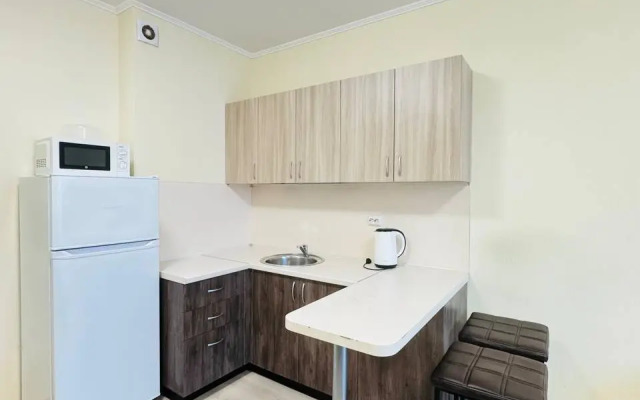 Uyutnaya Studiya U Metro Chkalovskaya Yekaterinburg Apart96 Flat