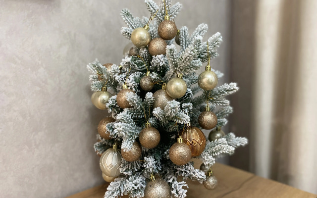 Квартира Новая в центре Тюмени