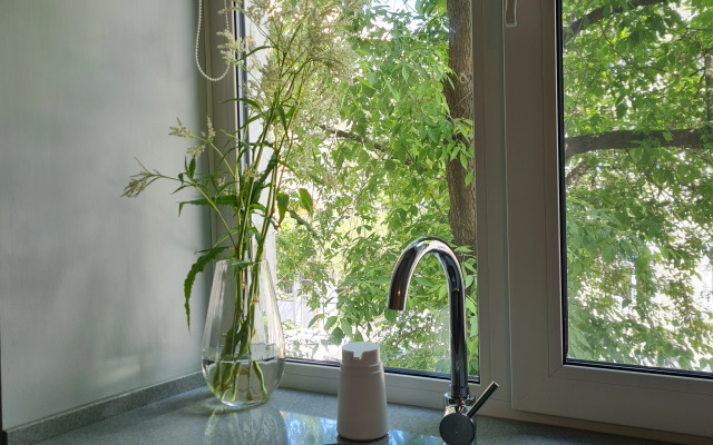 Квартира В историческом центре Екатеринбурга