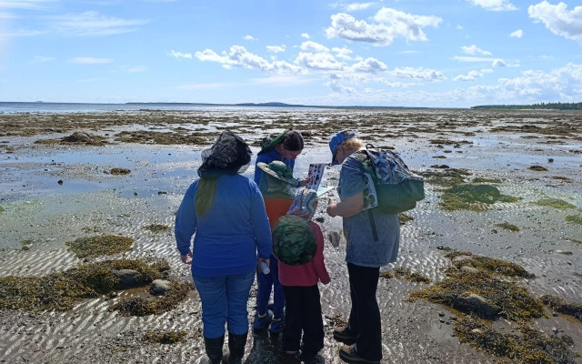 База отдыха Лопский берег