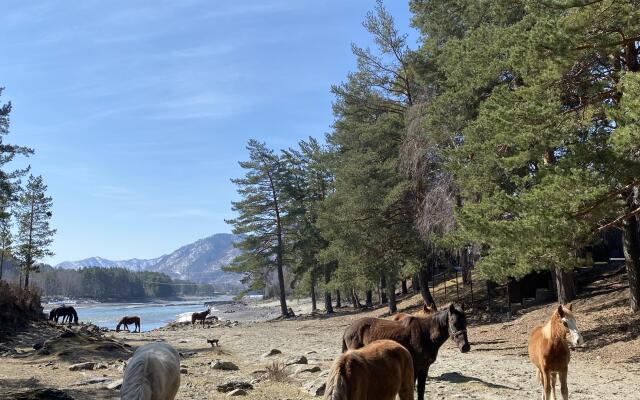 База отдыха Zawada