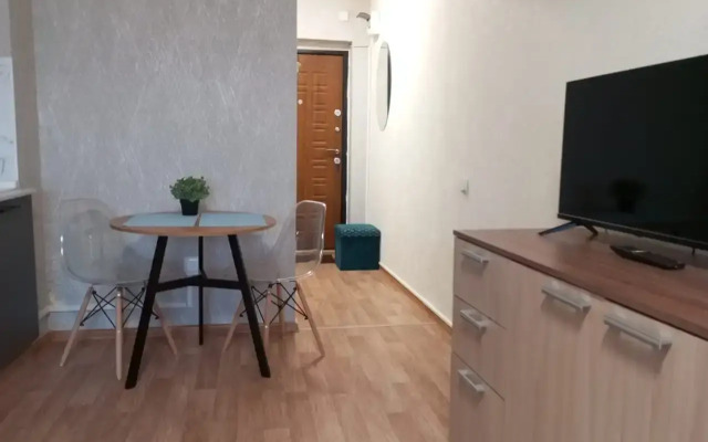 Квартира-студия на Большой Подгорной