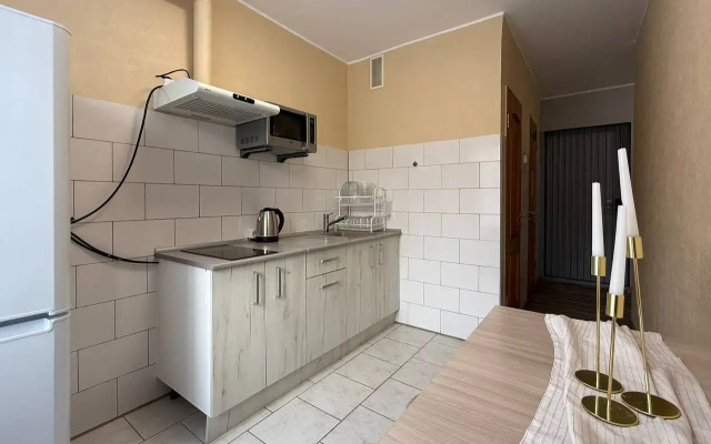 V Tsentre Goroda Flat