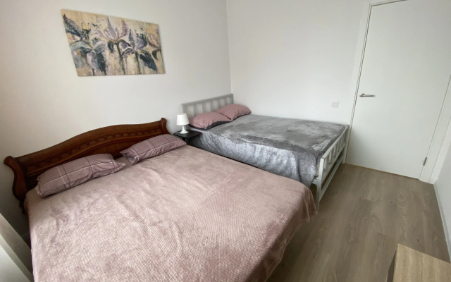 V novom dome Flat