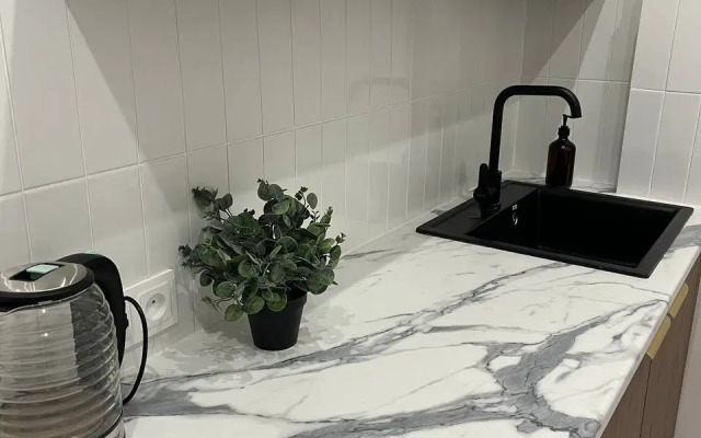 Квартира Театральная на площади Волкова