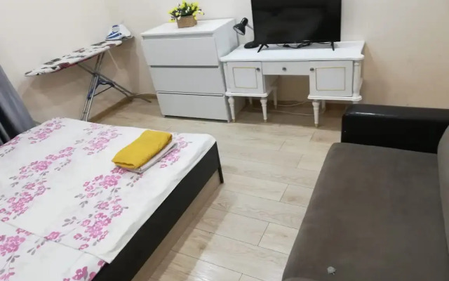 Tsvetnik Kirova Apartments