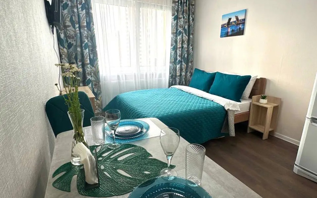 Uyutnaya Studiya Murinskaya Doroga Apartments